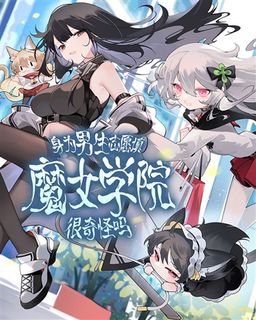 novel cover
