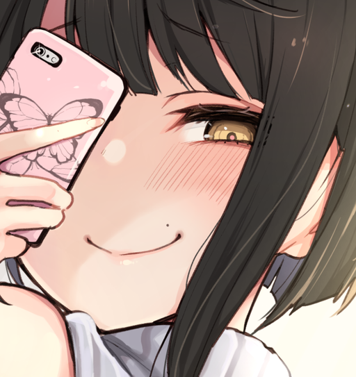 Novel main cover