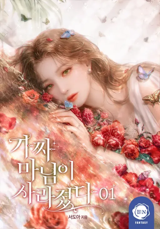 Novel main cover