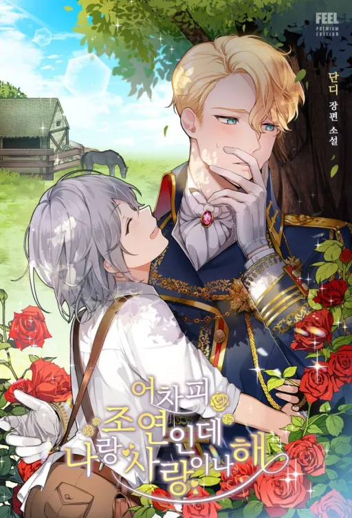 Novel main cover